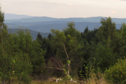 Widok z góry Leskowiec